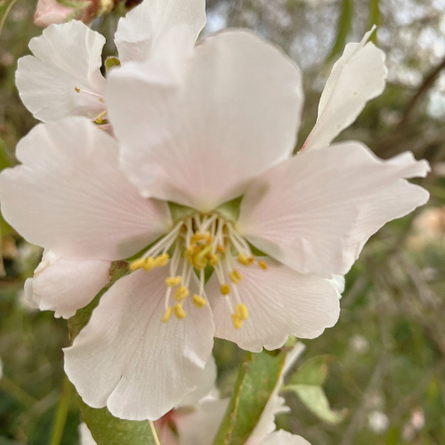 Untitled design (31)